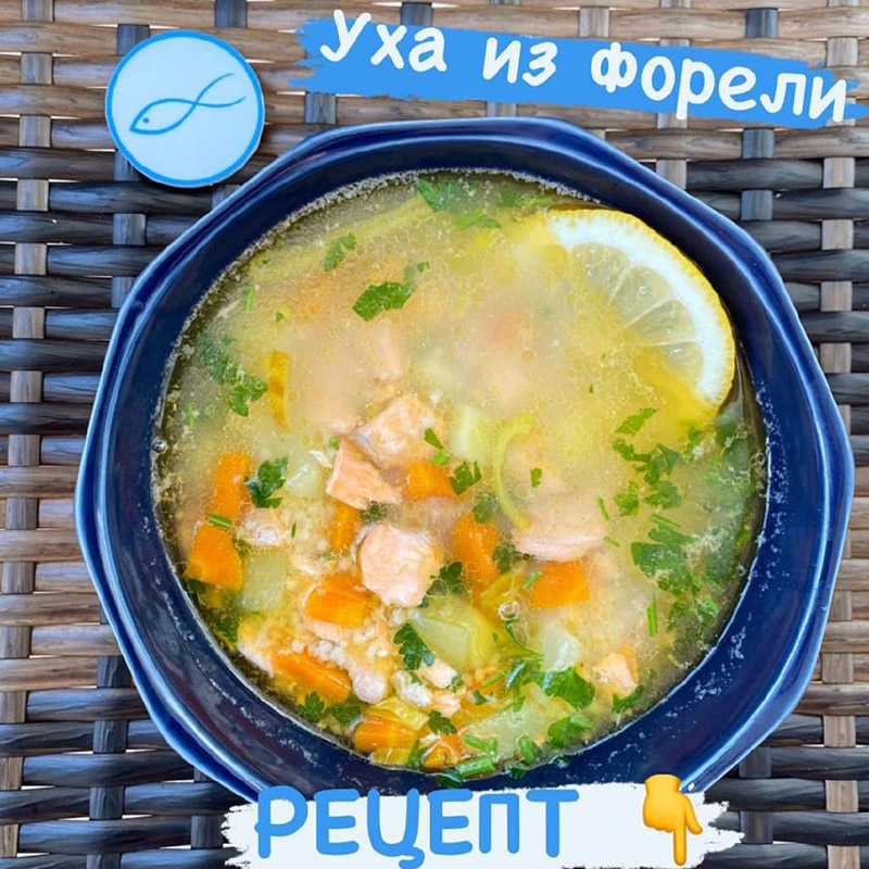 Уха из Форели