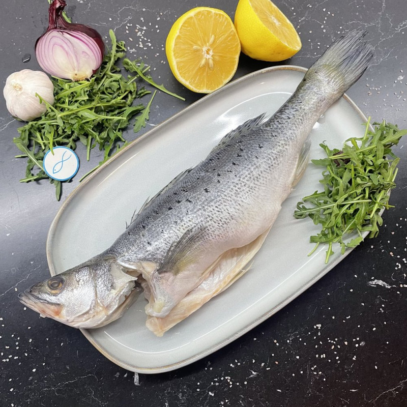 Окунь морской японский (Сузуки)