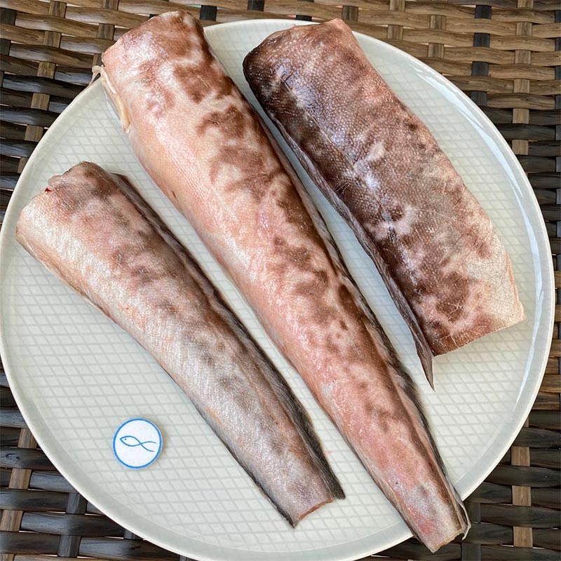 Конгрио
